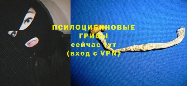 СК Киренск