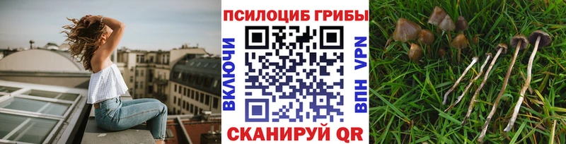 Галлюциногенные грибы MAGIC MUSHROOMS  закладка  Кировск 