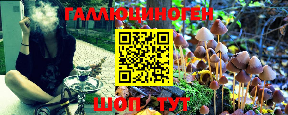 Псилоцибиновые грибы мицелий  Вход с VPN  Кировск  Псилоцибиновые грибы Magic Shrooms 
