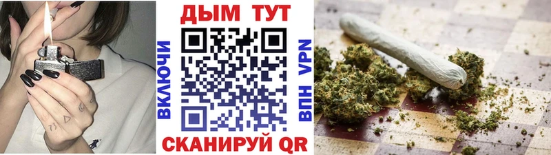 сколько стоит Кировск Конопля MAZAR
