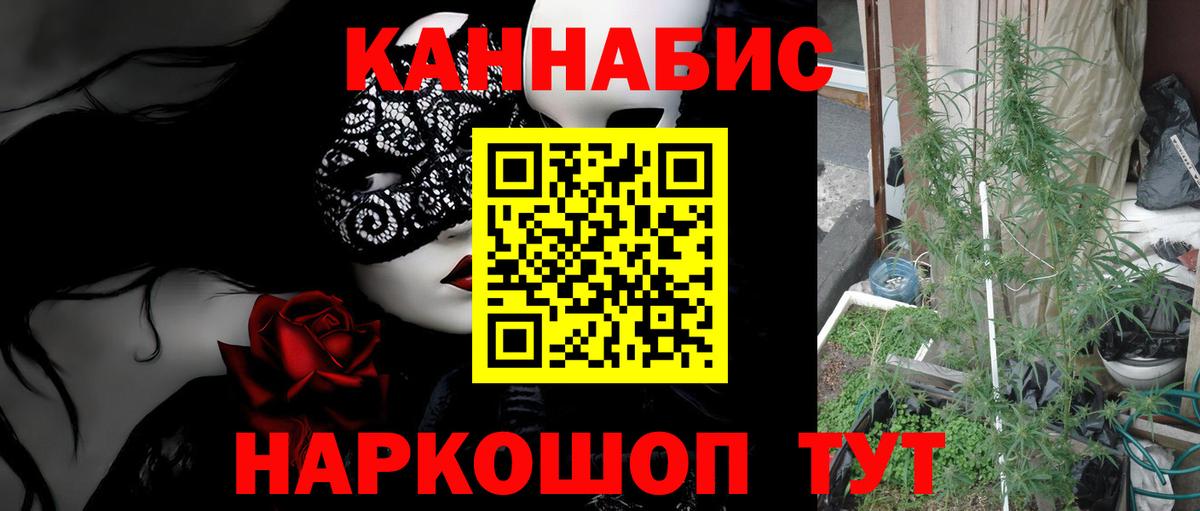Бошки марихуана конопля  Вход с VPN  Канабис Ganja  Кировск  Шишки марихуана OG Kush  Конопля гибрид 